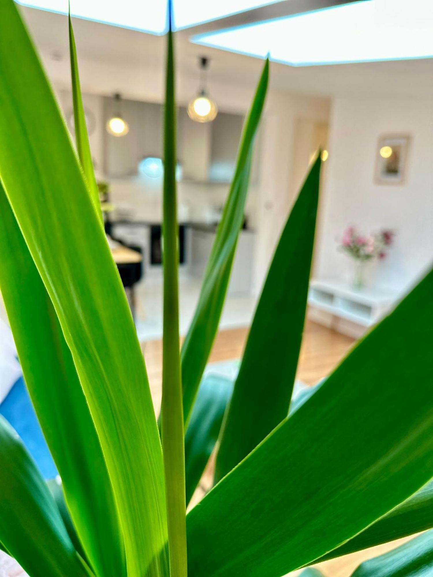 Apartament Cozy Old-town At Kazimierz +ac, Kitchen And Netflix